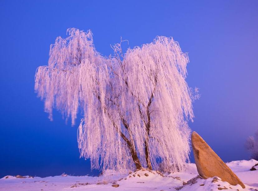 吉林，北国江城绿色家园风采