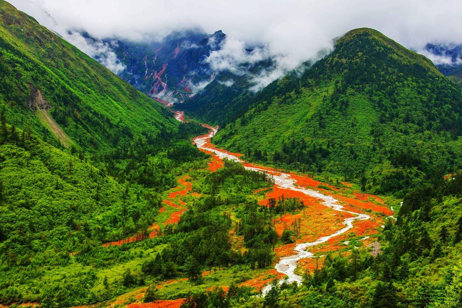四川印象，绿意盎然，茶香四溢的巴蜀风情