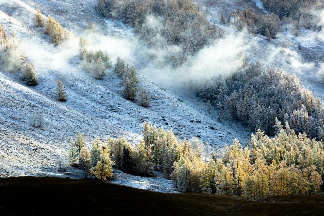 新疆，嘉宾云集，观众热情如火